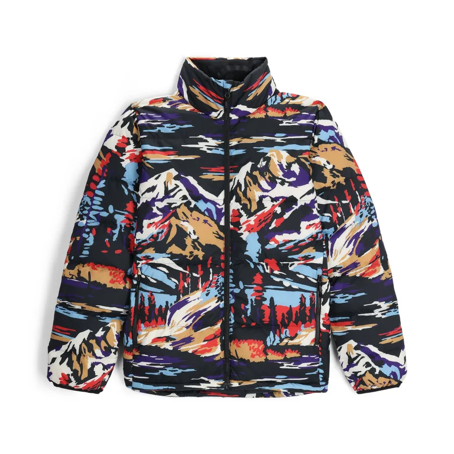 Spyder Mens Windom Down Jacket - Paint By Numbers Purple Flash