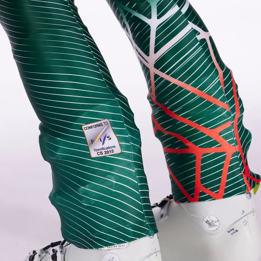 Spyder Mens World Cup Dh - Cypress Green